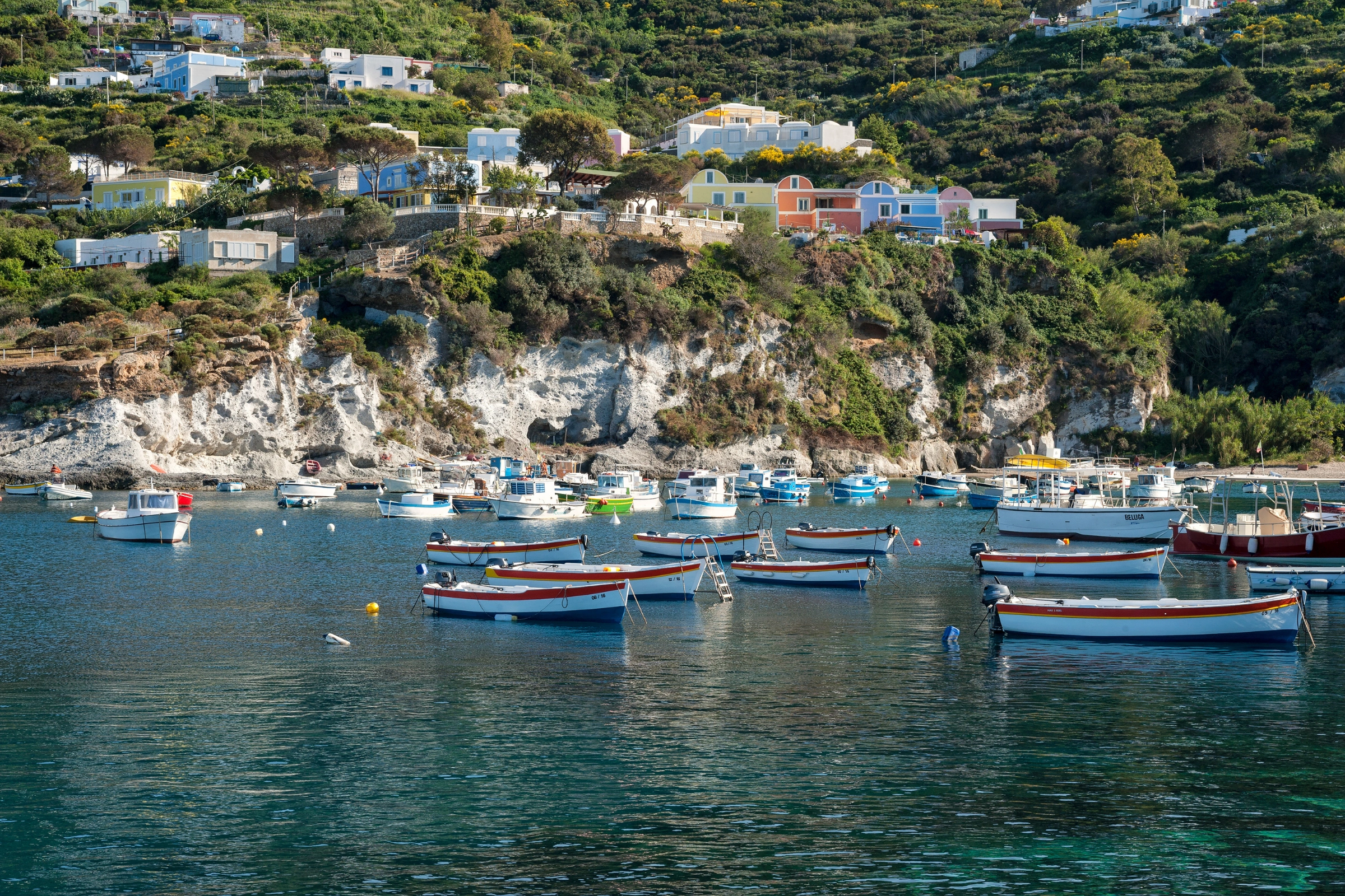 Palmarola_Island[1].webp